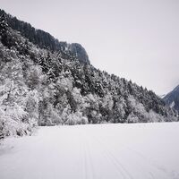 Loipe Richtung Reuthe