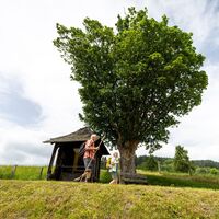 Wegkapelle "Schönes Kreuz" in St. Lambrecht.