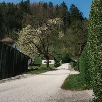 Weg am Fürstensteig