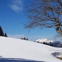 Stimmungsbild beim Bärenkogel