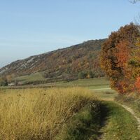Hundsheimer Berge