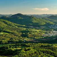Blick zum Trifels