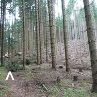 Wanderweg/-steig