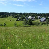 Bergwiesen um Friedrichshöhe