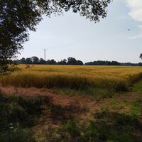 Radrundweg R 18 Herzebrock-Clarholz