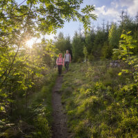 Wandern auf dem Eselspfad