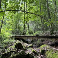 Naturschutzgebiet Katzenbuckhalde