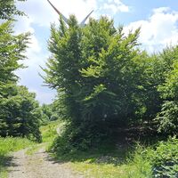 19.5 km Vorm letzten der 4 Windräder rechts in Single