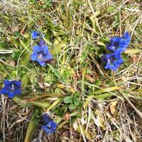 tour 20a - mtb - fohnsdorfer graben bis zur hammerl eckwiese_img_51425948