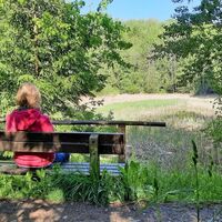 Teiche entlang des Wanderweges