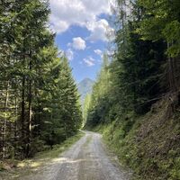 Fast immer geht dieses Runderl im Schatten, perfekt an diesem heißen Tag Ende August