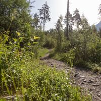 Der letzte Trail dem Rhein entlang nach Ilanz