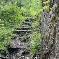 L3 Rinnerberger Trail