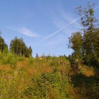 Am Wanderweg W8 auf dem Hohen Eimberg