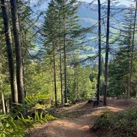 Schweinestberg Trail II_3.jpg
