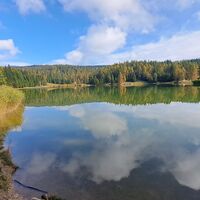 beim Felixer Weiher/Lago di Tret