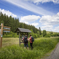 Wandern im Schwarzbachtal