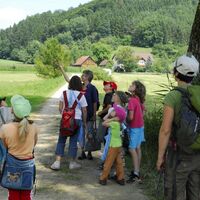 Naturlehrpfad Billafingen