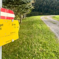 Kruckenbrettl - Trail