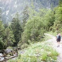 Abstieg in den Hartelsgraben