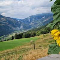 Ausblick von der Edenhütte nach Flattach