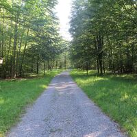 Allee der Bäume des Jahres 3(C)Gemeinde Reichartshausen