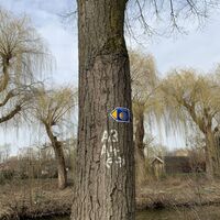 Nicht durchgängig markiert