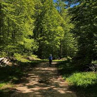 Wanderin auf dem Rundweg "Ronde des Plans" in Les Plans d'Hotonnes