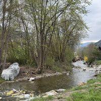 wasserthemenweg-bachlauf.jpg