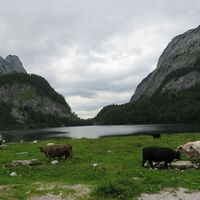 Gablonzer Hütte - Vorderer Gosausee - Hinterer Gosausee