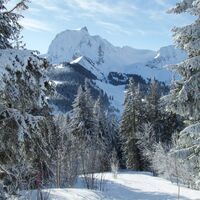 vor Wasserscheide - Winterwanderung Selibüel