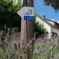 Bliessteig bei Blieskastel