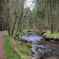Kösslbach und Biberweg Nr. 3