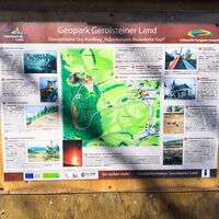 Infotafel Geopark Rockeskyll