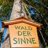 Hier entlang in den Wald der Sinne
