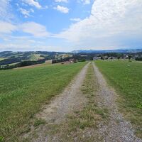 Wiesenabfahrt vom Kollmitzberg