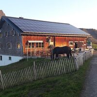Alpe Uga Damüls