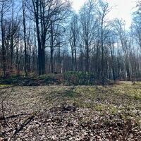 Am Wolfenherd - Exdorf - zur Platte