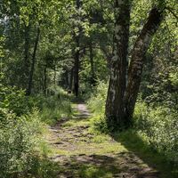 Rückweg nach Ilanz