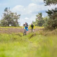 Mountainbiker fahren durch Heidelandschaft