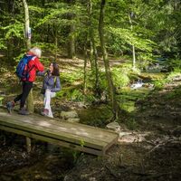 Unterwegs auf der Traumschleife Der Bergener