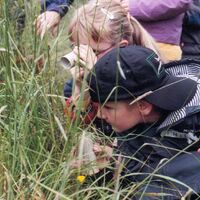 Wandern auf dem Mühlenweg am Wiehengebirge