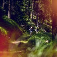Spaß auf dem Weg durch den Wald von Lâche