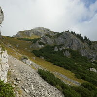 so, endlich raus aus dem Latschendschungel