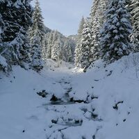 Wildschönau Auffach Aschbachtal
