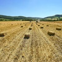 Wiesen und Felder säumen den Weg