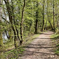 koblenz-wanderweg-am-rheinufer