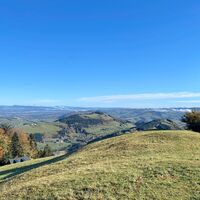 Freithofberg-Trail - Maria Neustift