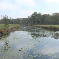 Kleiner Teich