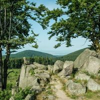 Glöckner am Rennsteig